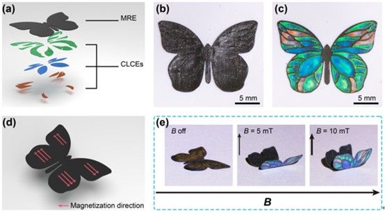 F1E052299BEE2192A2E34591E6E_1652FF31_7CC5