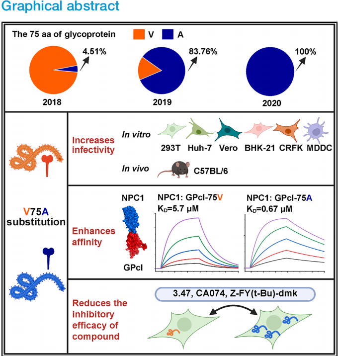 ��ҳ|ng������Ϸ�й����Źٷ���վ