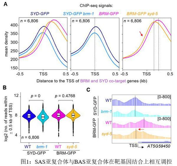 ED3E5EF197B4CAA4320FBD520A2_88968B90_ED33