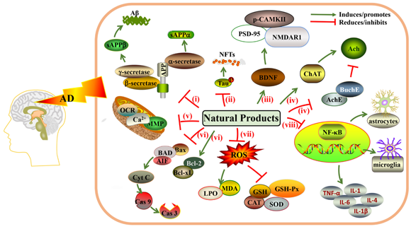 ��ҳ|ng������Ϸ�й����Źٷ���վ