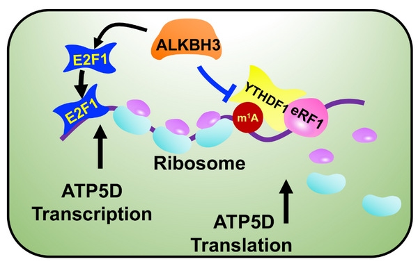 92A37EDFEFED90EB848A057B131_84CDB6FC_380FB