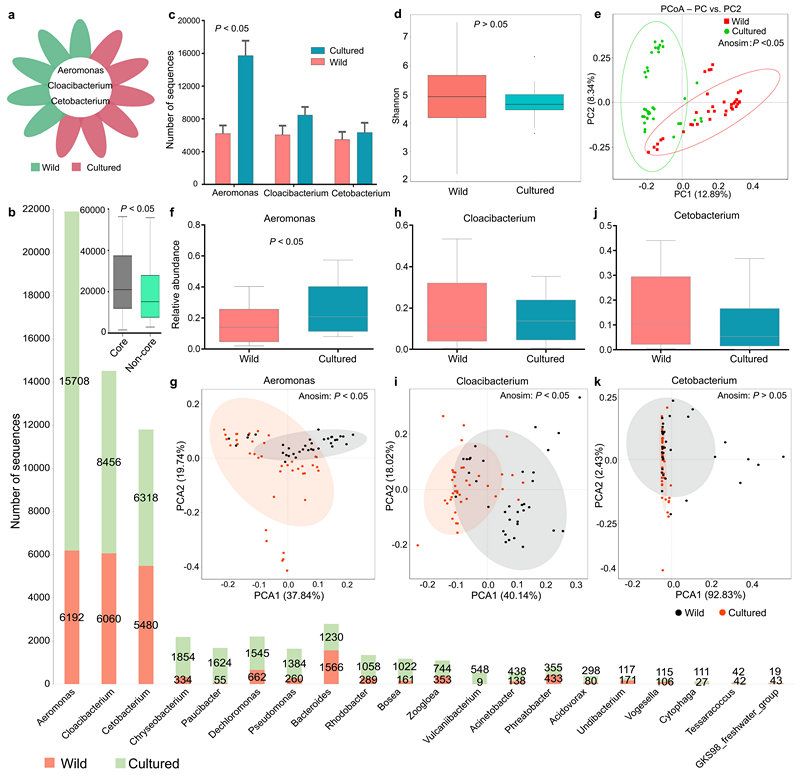 C1E572AABD15D25FBE2D7AFE0DA_ECCB198D_18587