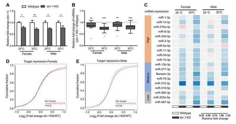 ��ҳ|ng������Ϸ�й����Źٷ���վ
