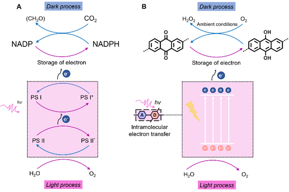 ��ҳ|ng������Ϸ�й����Źٷ���վ