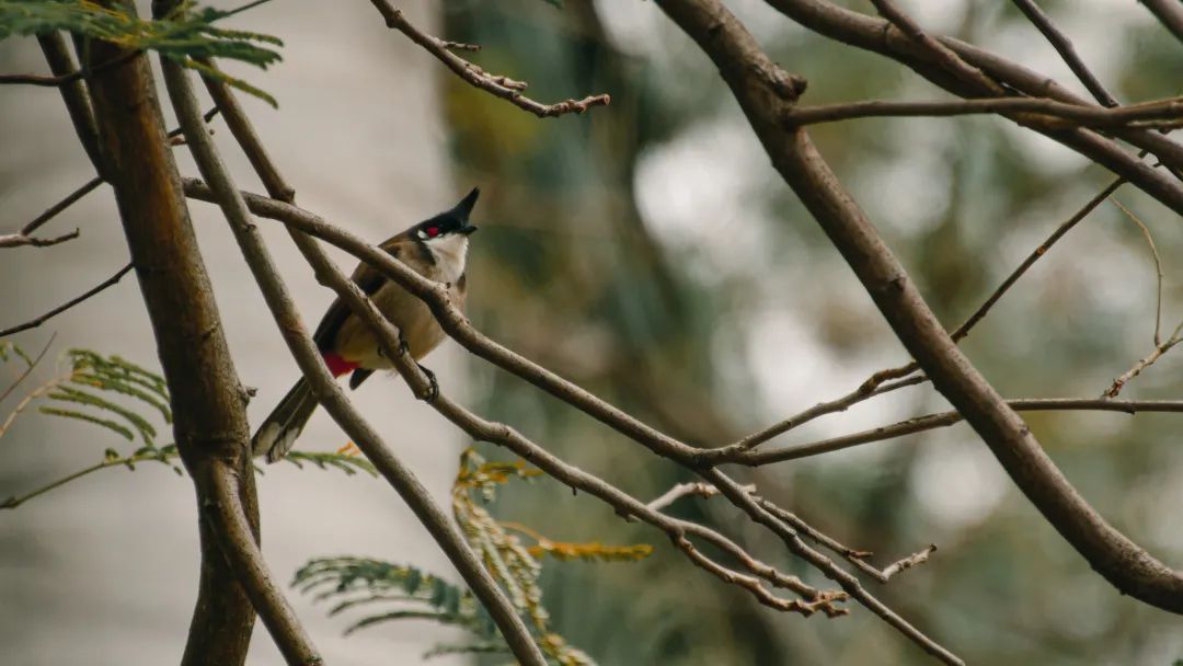 A60065B48E903A78D5357680AB7_A1CDE588_1416D ͼƬ