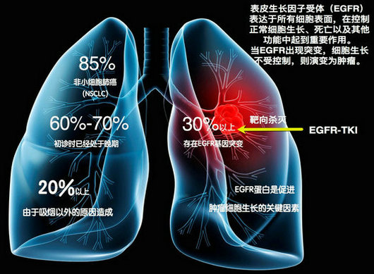 ��ҳ|ng������Ϸ�й����Źٷ���վ