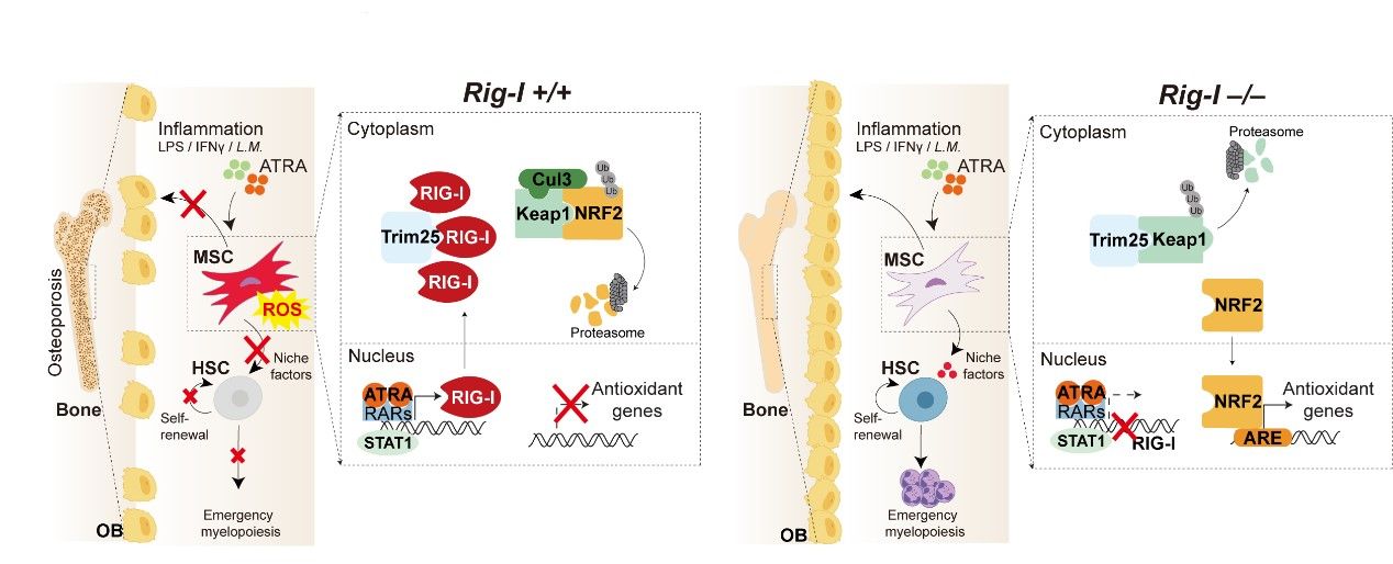 ��ҳ|ng������Ϸ�й����Źٷ���վ