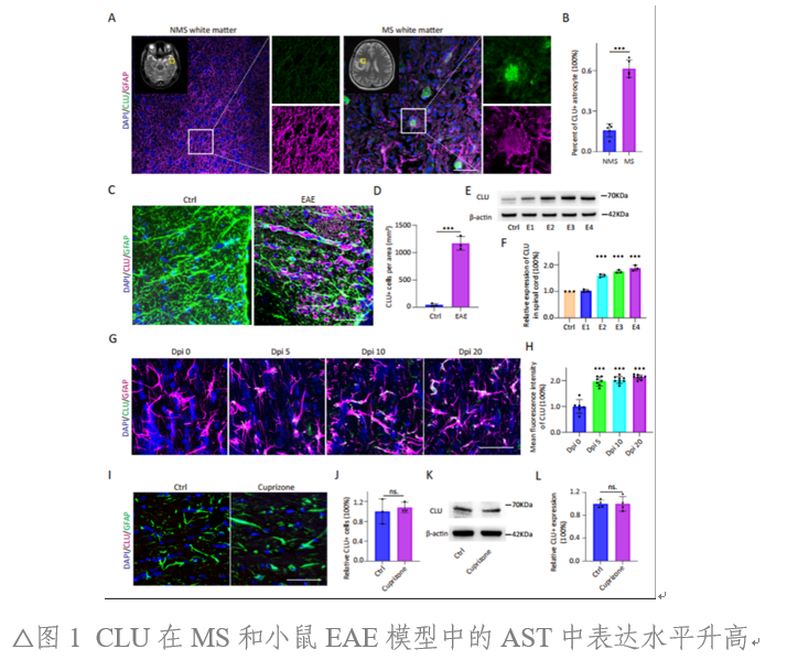 3E638D495255AEE98E9B1372CDE_4D048C15_666ED