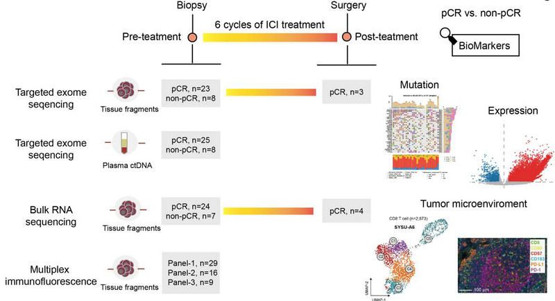 BFC7BA9DA65DEDEB2B690649F27_D979DF58_BFAB