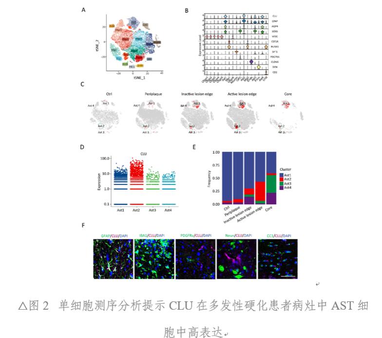 EA84A3853471C421C7AF86FE0C4_263EAC77_392A2