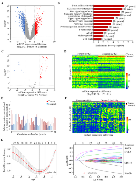 ��ҳ|ng������Ϸ�й����Źٷ���վ