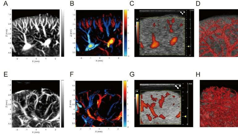��ҳ|ng������Ϸ�й����Źٷ���վ
