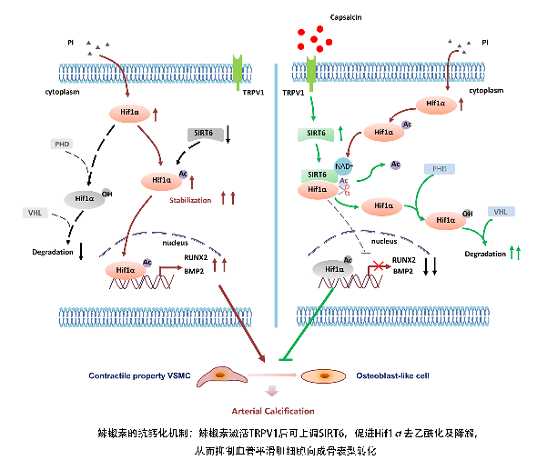 ��ҳ|ng������Ϸ�й����Źٷ���վ