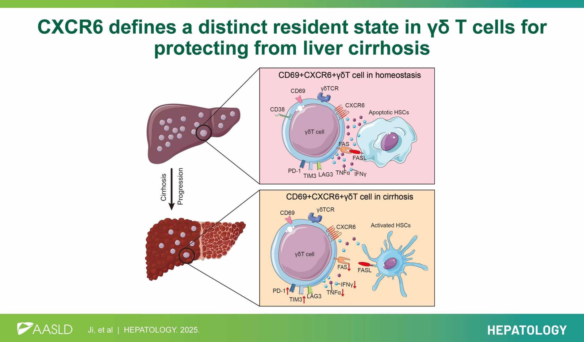 6CF97C2D510907238721F6271FC_A84B249D_13DF6D