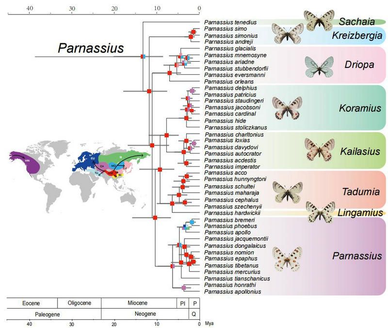 8B8A02806F80EE68C675FD7B17F_ED25873C_16B34