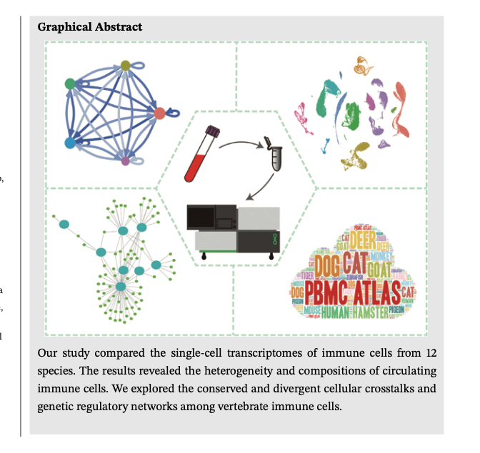 ��ҳ|ng������Ϸ�й����Źٷ���վ