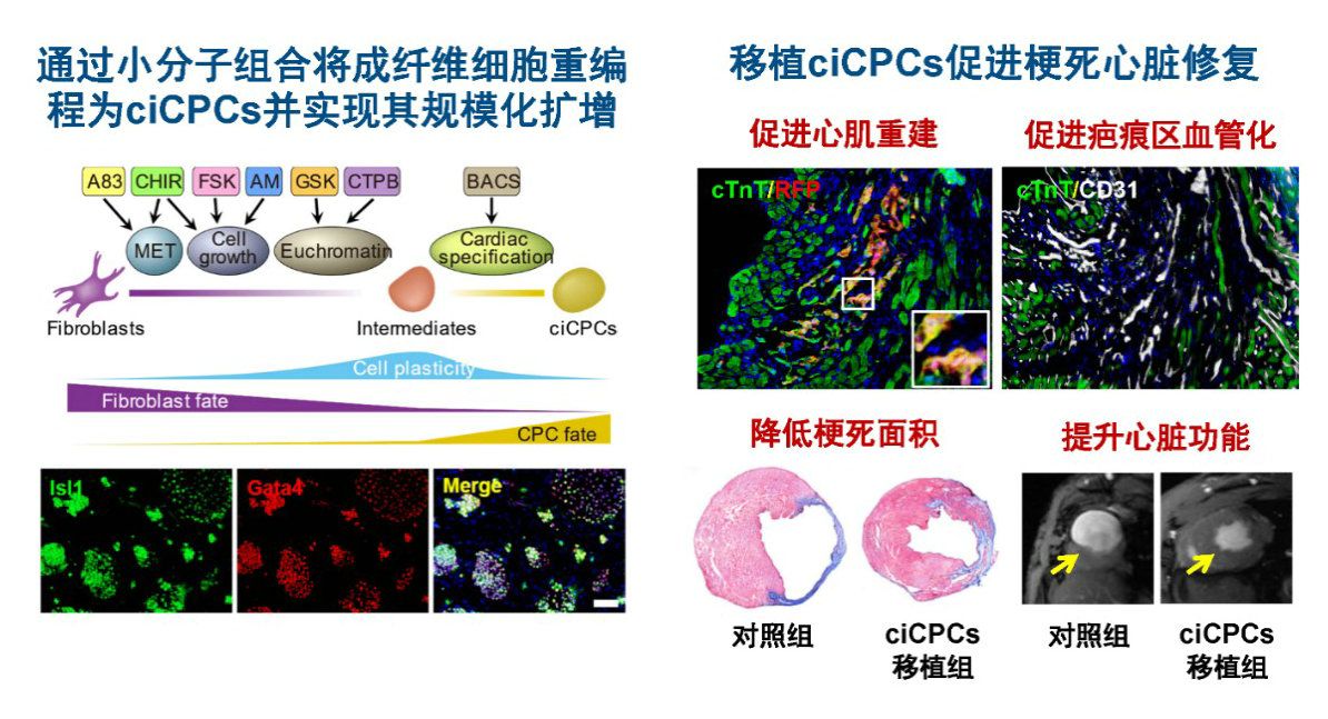 ��ҳ|ng������Ϸ�й����Źٷ���վ