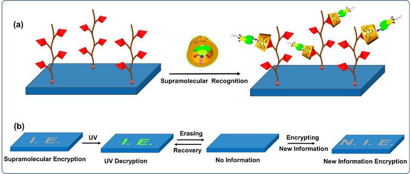 8A8CB75BE421A9A64EC40BE494D_17534D15_AA1E