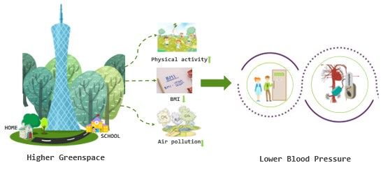 7945C7A7F23E8888CDCE5615CD0_D5E7D4DF_4EC7