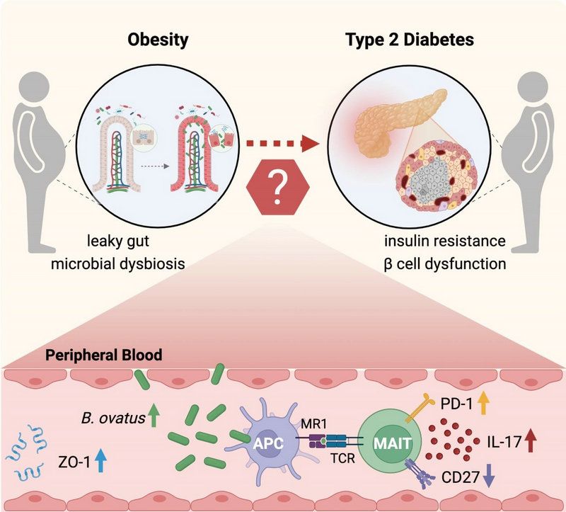 69BE72C55FE1F15786B2BA9C11C_52DA03FA_13D52