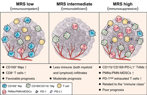 ��ҳ|ng������Ϸ�й����Źٷ���վ