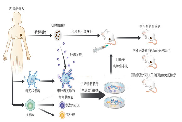 F4BB741F9266BF8B011BE6F9F23_AB0ABF48_C82F.jpg?e= Ê×Ò³|ngµç×ÓÓÎÏ·Öйú¼¯ÍŹٷ½ÍøÕ¾
