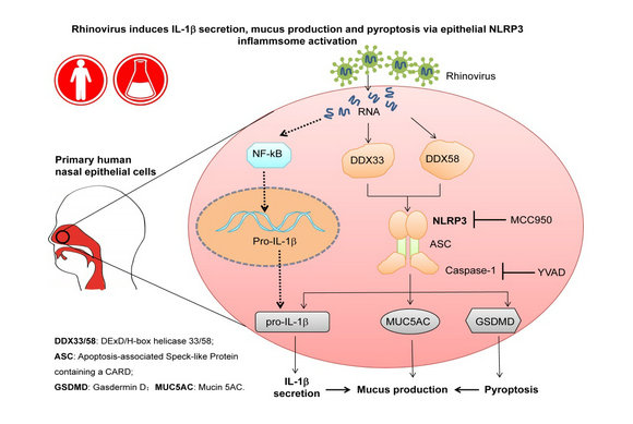 ��ҳ|ng������Ϸ�й����Źٷ���վ