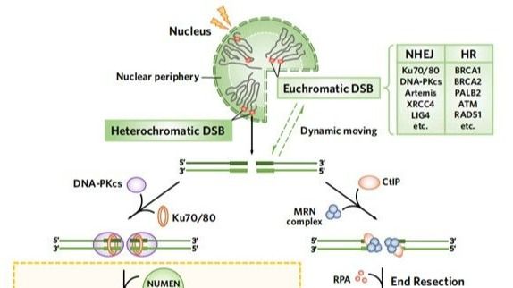 ��ҳ|ng������Ϸ�й����Źٷ���վ