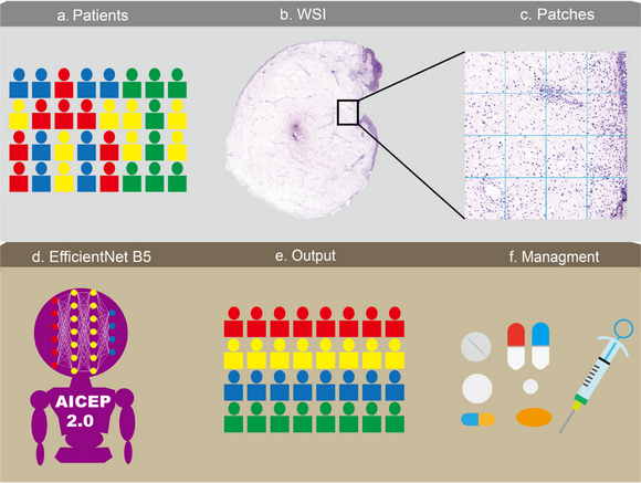 ��ҳ|ng������Ϸ�й����Źٷ���վ