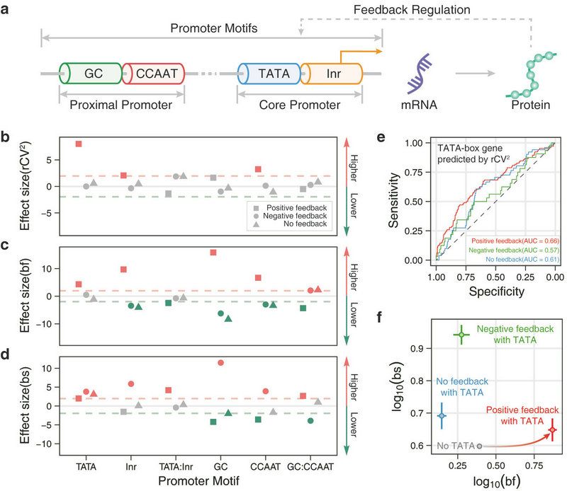 047C41045C3014EE54661392C1C_054866E3_14737