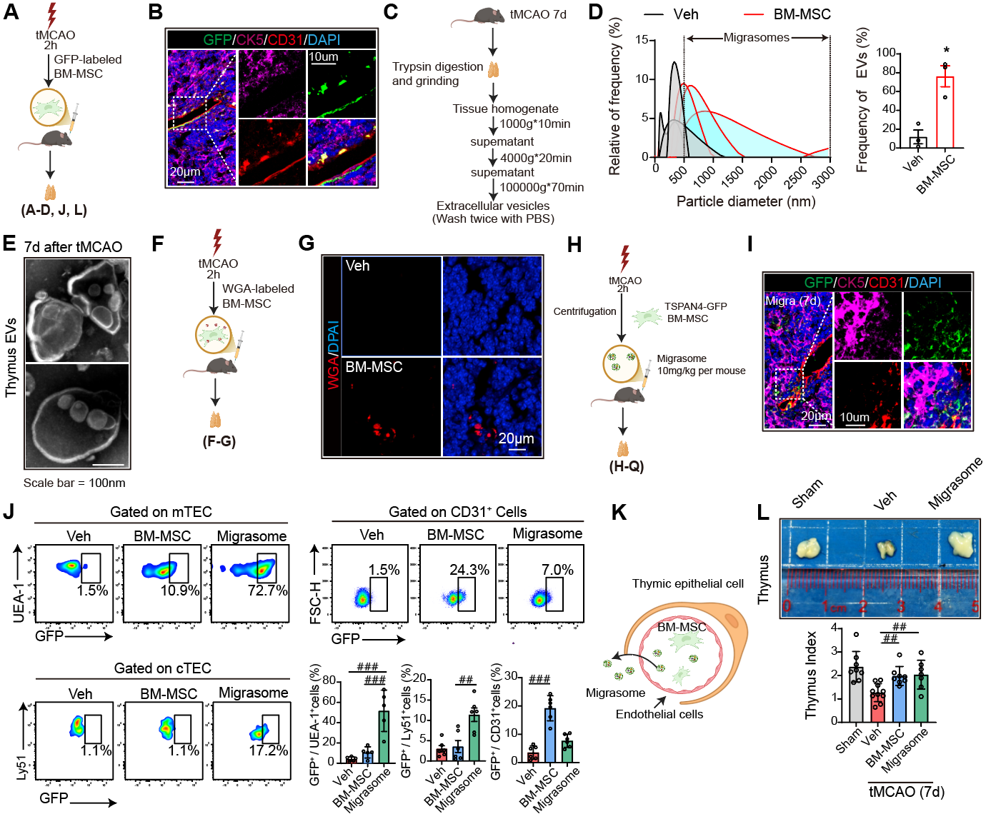 ��ҳ|ng������Ϸ�й����Źٷ���վ