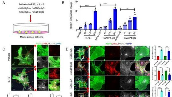 ��ҳ|ng������Ϸ�й����Źٷ���վ