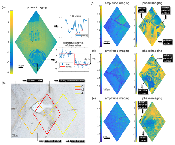 ��ҳ|ng������Ϸ�й����Źٷ���վ