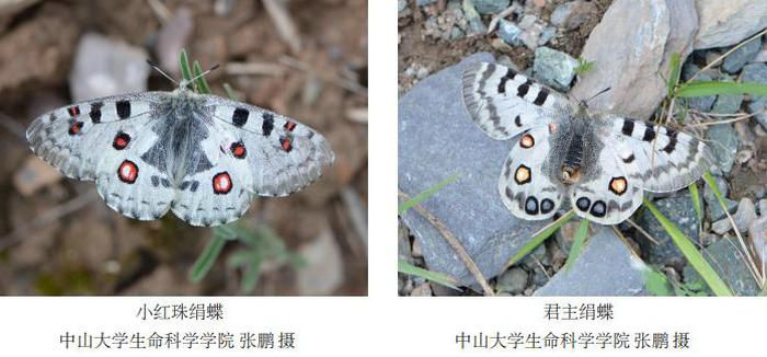 C5B62120065BC5DB63D6F089CDD_5E10553E_BBD4