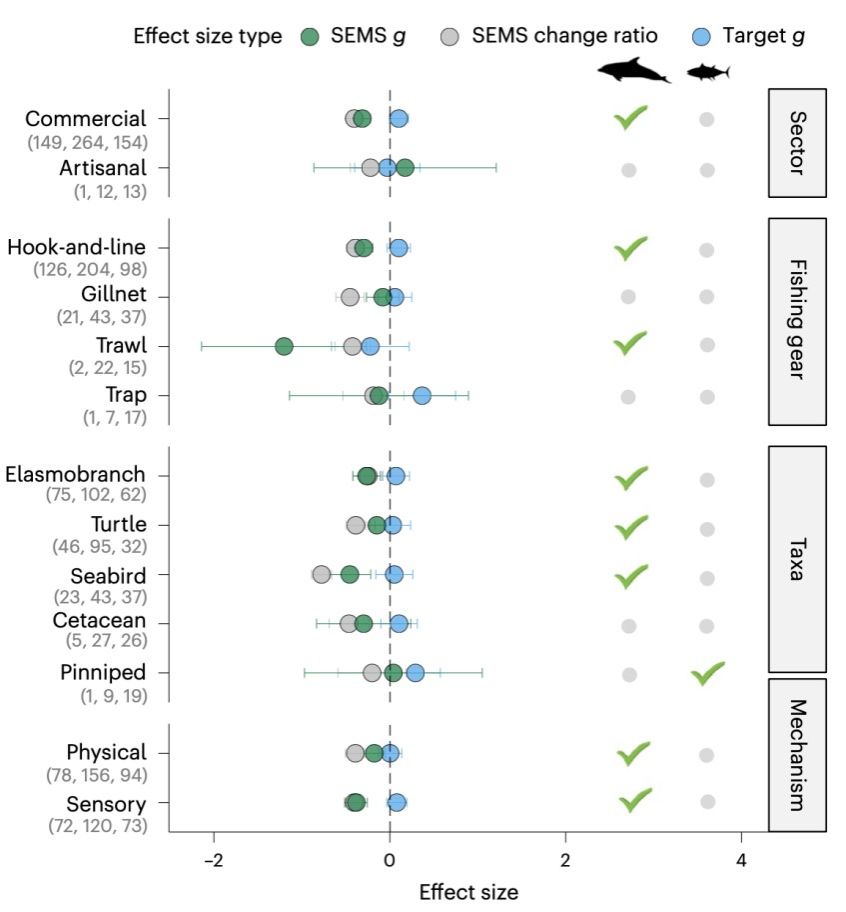 EB0C2C1764CB424AB772B01DA52_1758BCAE_105AF