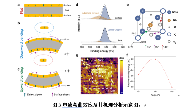 B0592F89F3C9FB9EF8E3E33ABEB_781AA115_1E1A7