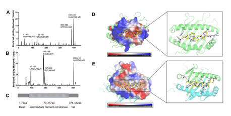 ��ҳ|ng������Ϸ�й����Źٷ���վ