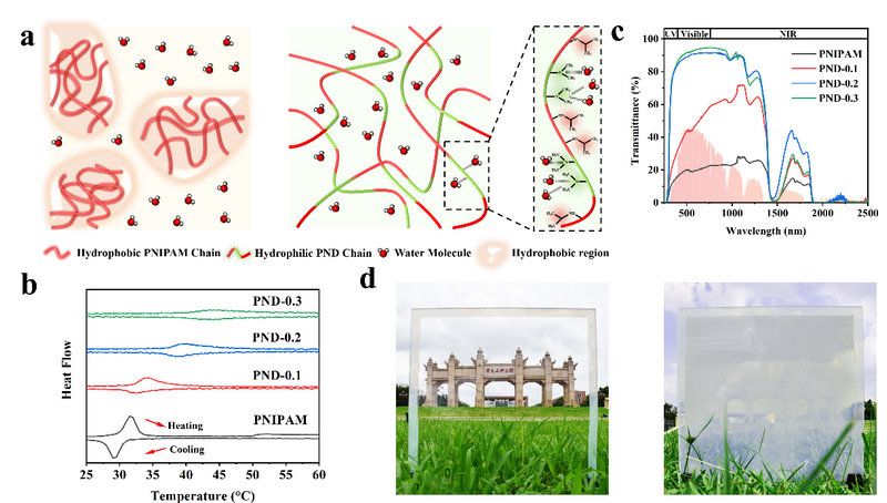 6E77A7C79313DA1F9E6F9FB3765_FF9E8F3E_11EFE