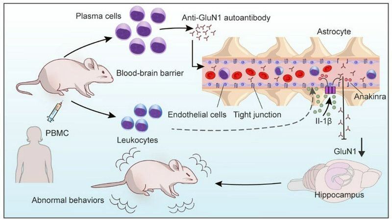��ҳ|ng������Ϸ�й����Źٷ���վ