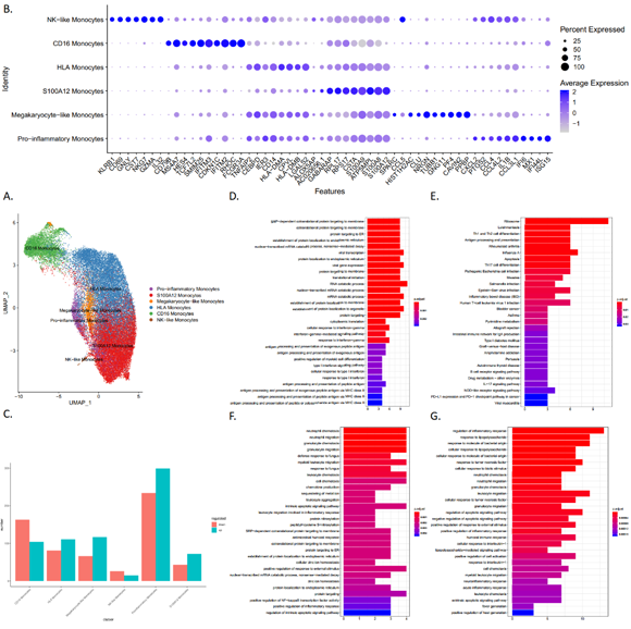 ��ҳ|ng������Ϸ�й����Źٷ���վ