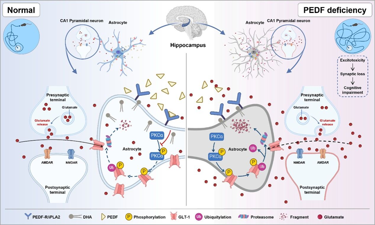E8056E859CE66955A57D4341E66_46E99E39_20517