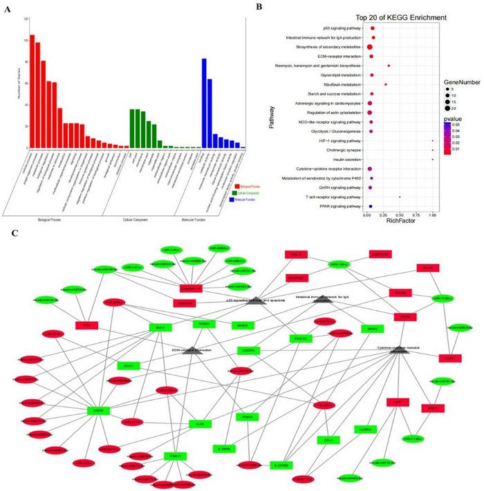 376FCE56120F5C31F9082D086C3_5CE82255_148FE 376FCE56120F5C31F9082D086C3_5CE82255_148FE