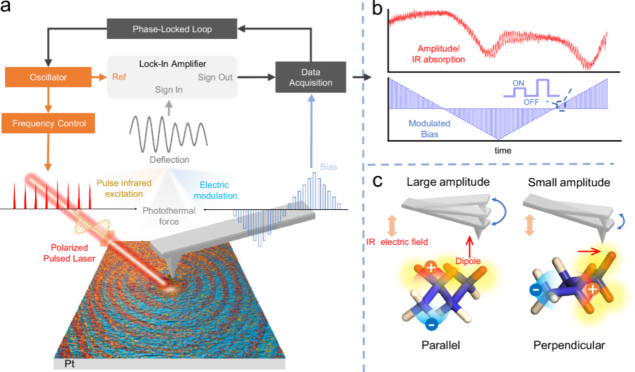 ��ҳ|ng������Ϸ�й����Źٷ���վ