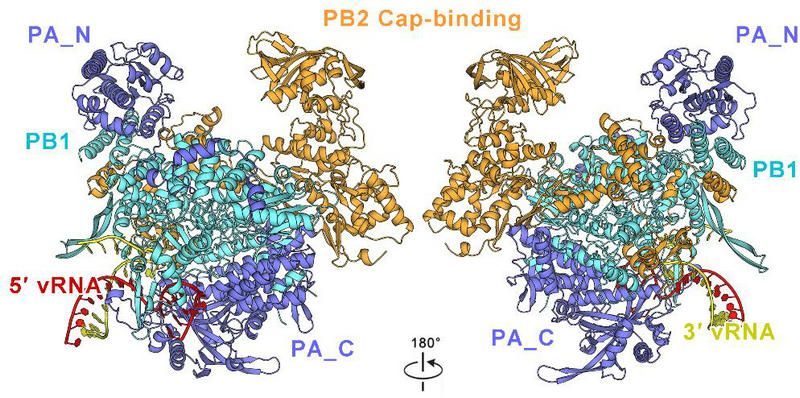 491A93DA476A50566BECA4FCC43_D3C64CF8_17829 491A93DA476A50566BECA4FCC43_D3C64CF8_17829