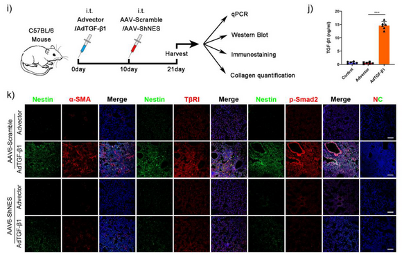 ��ҳ|ng������Ϸ�й����Źٷ���վ