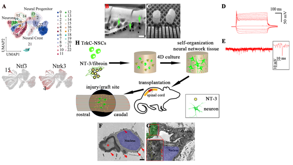 ��ҳ|ng������Ϸ�й����Źٷ���վ