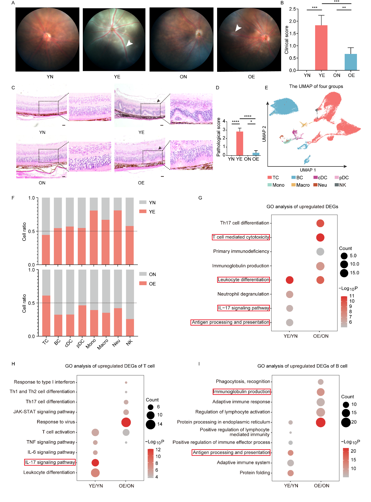 ��ҳ|ng������Ϸ�й����Źٷ���վ