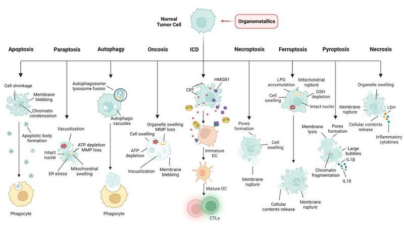 D1531965346D867227EFEF17A64_8E74FA6A_B0C7