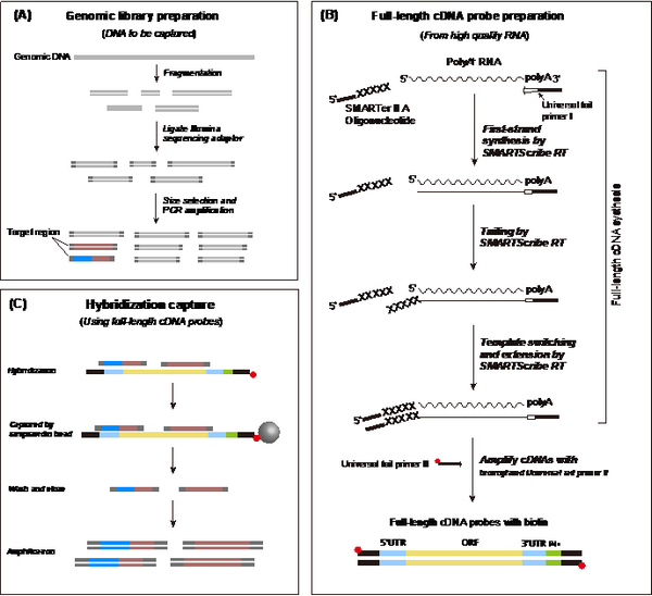 33F72DE0BB564A145C8A4F1B5C0_577AA125_19F0C