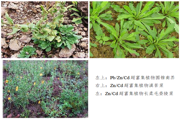 ��ҳ|ng������Ϸ�й����Źٷ���վ